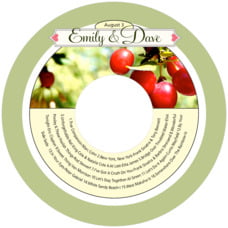 CDCT18-34