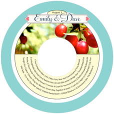 CDCT18-42