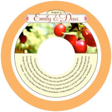 CDCT18-43