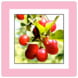 SPCT84-35