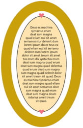 TLCT07-29