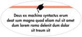 TLGS09-41
