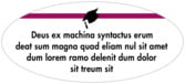 TLGS09-45