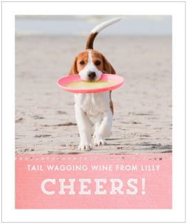 SPIF52-26