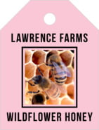 HTQC1B-11